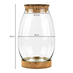Globe terrarium fermé en verre Forest 28cm sur fond neutre