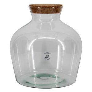 Globe terrarium XL en verre 30cm avec bouchon en liège