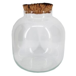 Bocal pour terrarium de plantes eco système