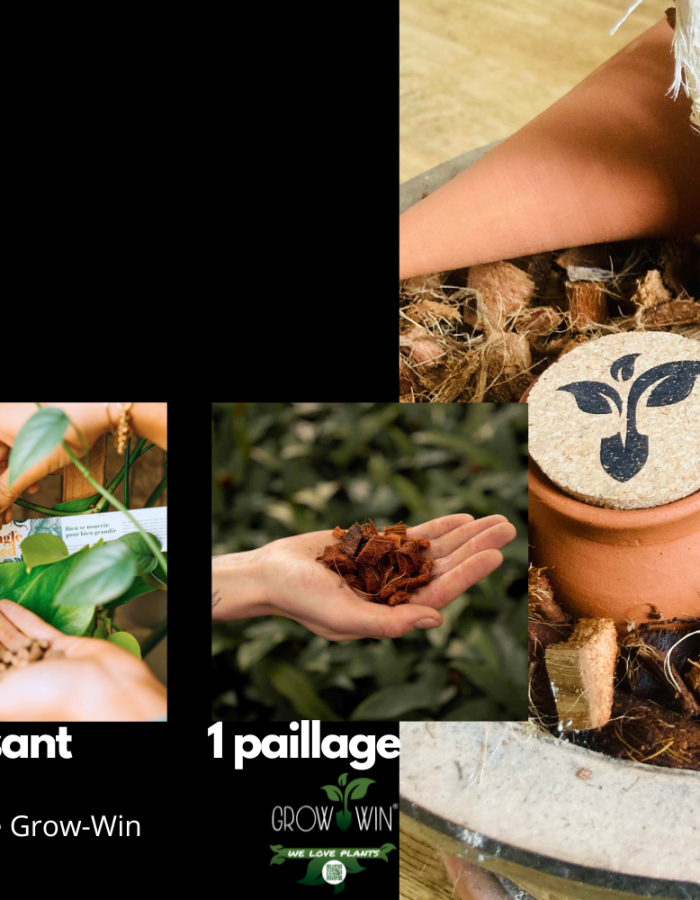 Kit entretien pour plantes ollas + engrais + paillage