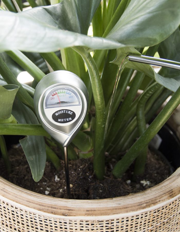 Hygromètre ↑ 28 Cm