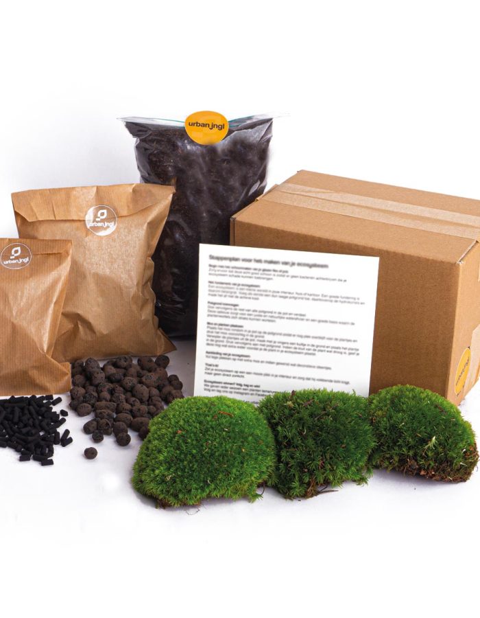 Terrarium Package – Refill & Starter Package – Diy Terrarium Kit