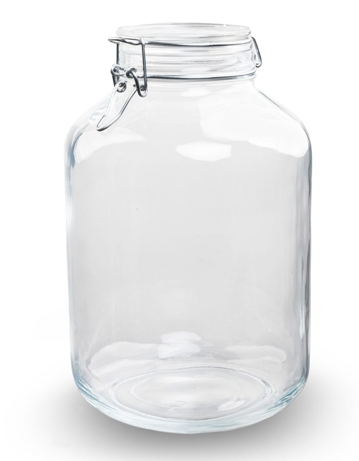 Weck Jar Fido – 5 Liters | Closed Terrarium ↑ 28 Cm