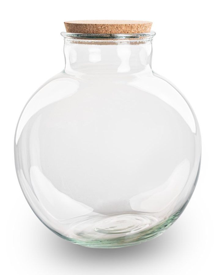 Terrarium Bottle With Cork – Bolder Bob – Closed Terrarium ↑ 30 Cm