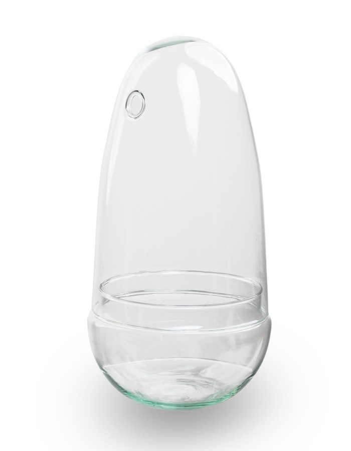 Egg – Glass Bulb – Bell Jar – Terrarium ↑ 25.5 Cm – Model: Egg
