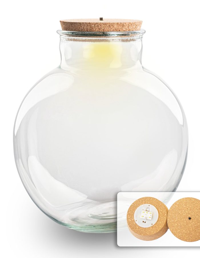 Terrarium Bottle With Led Cork – Bolder Bob – ↑ 30 Cm