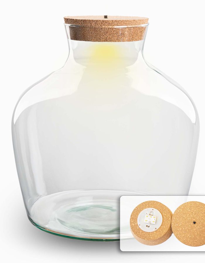 Terrarium With Cork – Fat Joe + Led Cork – Closed Terrarium ↑ 30 Cm