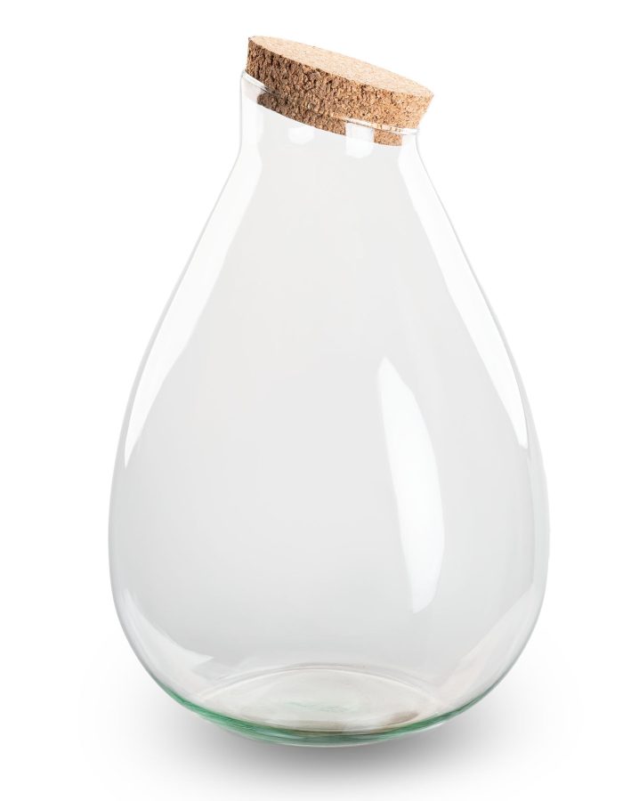 Terrarium With Cork – Drop Xl – Closed Terrarium ↑ 37 Cm