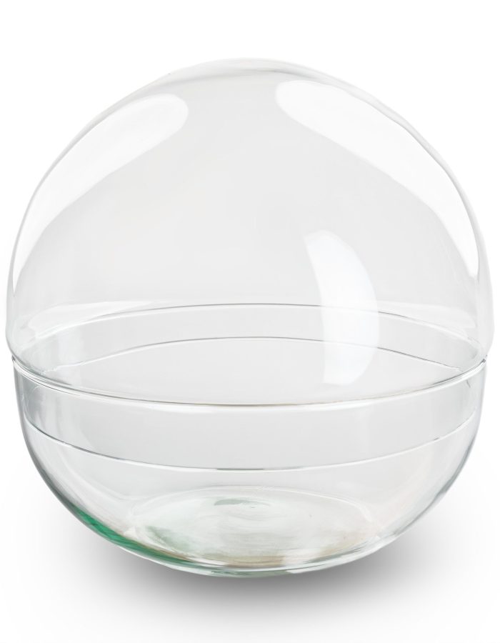 Dome – Globe Glass – Bell Jar – Closed Terrarium ↑20 Cm