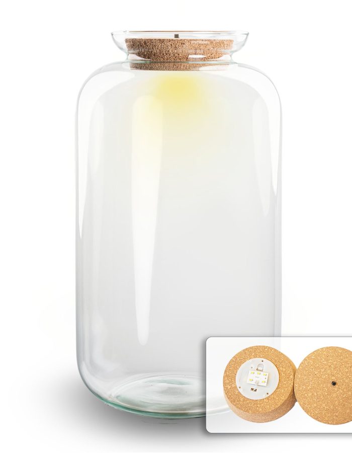 Terrarium With Cork – Sven Xl With Led Light – Closed Terrarium ↑ 43 Cm