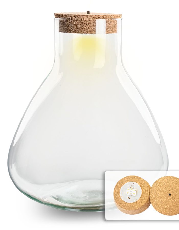 Terrarium With Cork – Sam Xl With Led Cork – ↑ 32 Cm