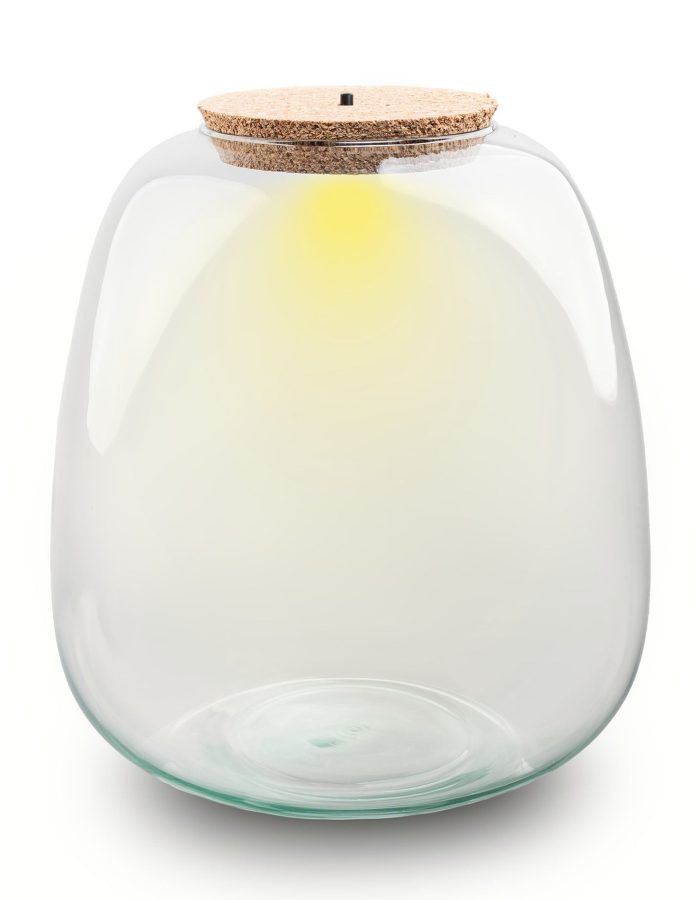 Terrarium Bottle With Cork – Model: Emma + Led Cork  – ↑ 25 Cm –  Ø 23 Cm