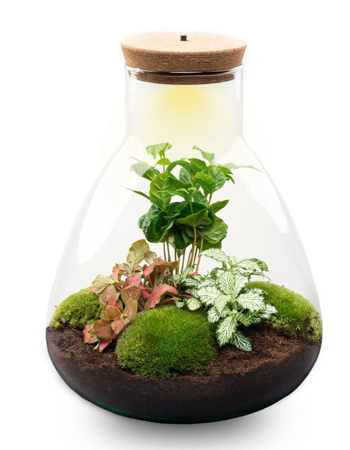 Terrarium Sam – Ø 24,5 Cm ↑ 30 Cm –