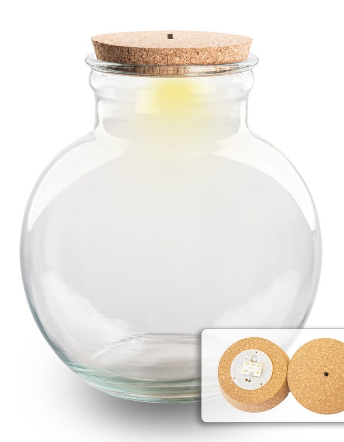 Bocal en verre recyclé pour terrarium avec LED 25cm