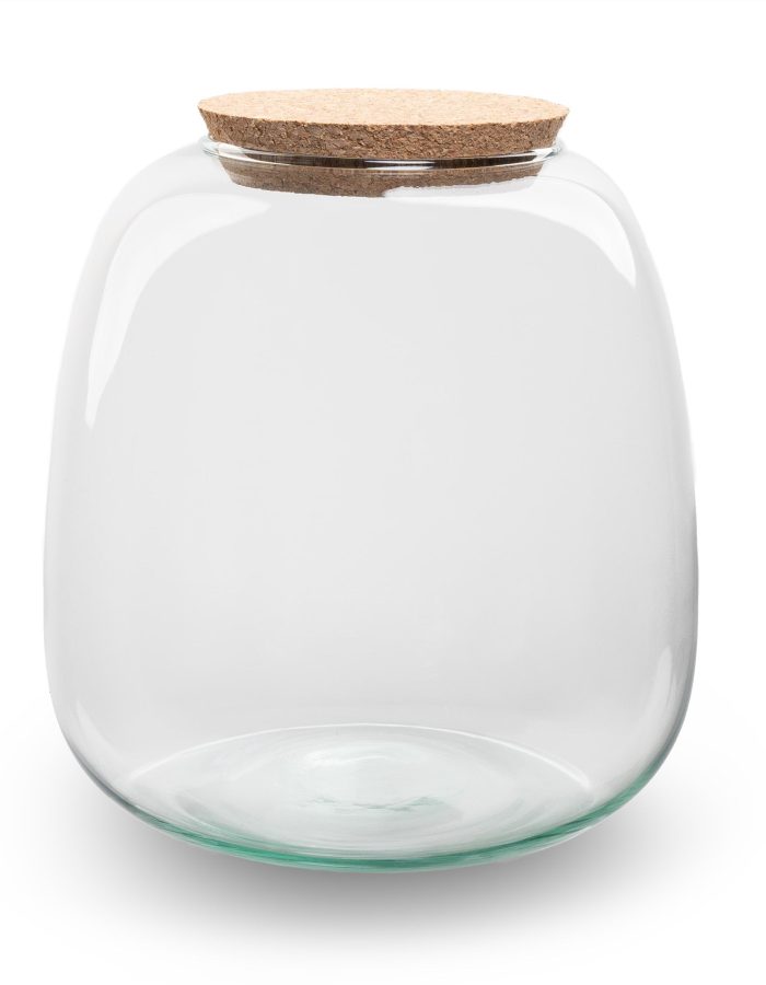 Terrarium Bottle ‘Emma Mini’ With Cork – Closed Terrarium Ø 19 Cm ↑ 20 Cm