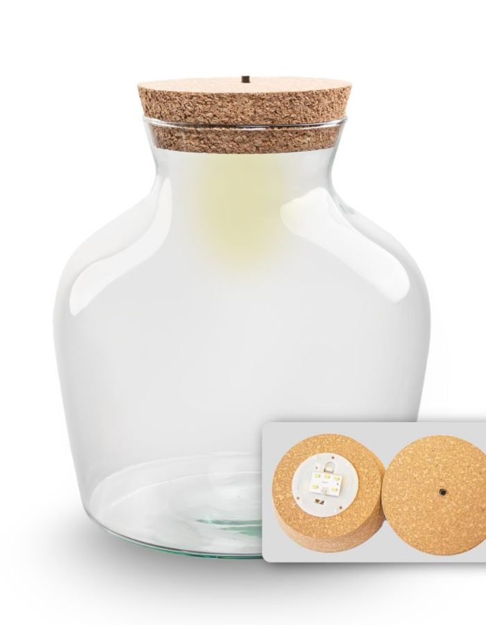 Terrarium Bottle ‘Little Joe’ – Incl. Led Cork – Closed Terrarium Ø 20 Cm ↑ 22 Cm