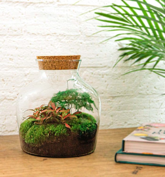 upcycling terrarium DIY