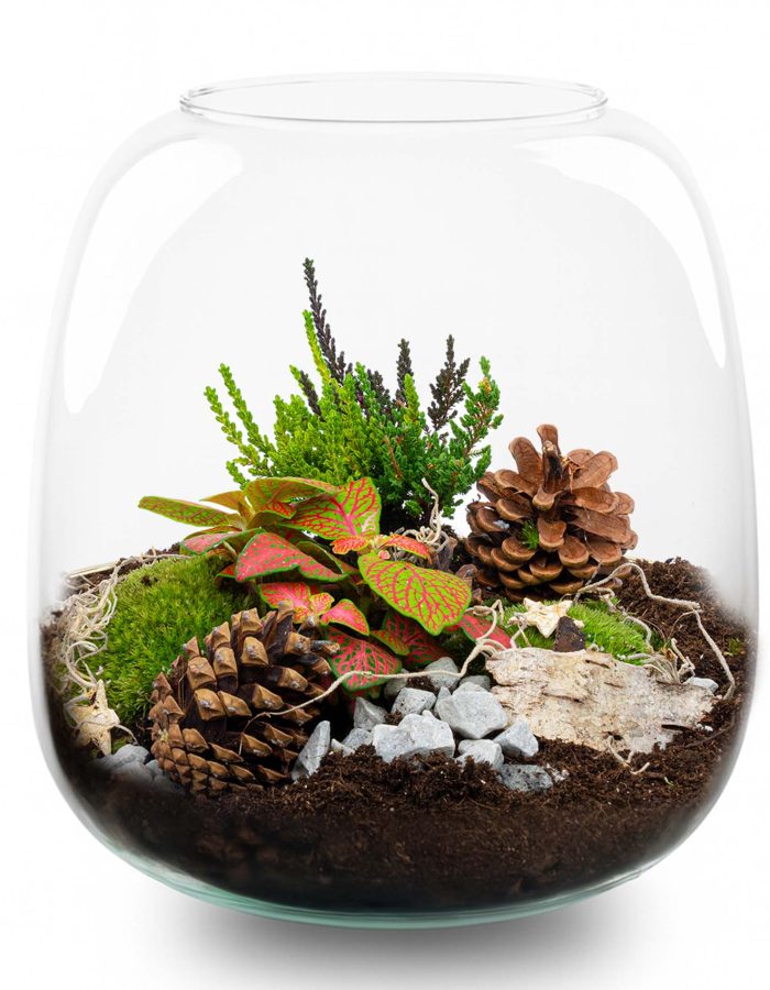 Tinsel Winter Terrarium – Bottle Garden Diy Kit – Ø 19 Cm ↑ 20 Cm
