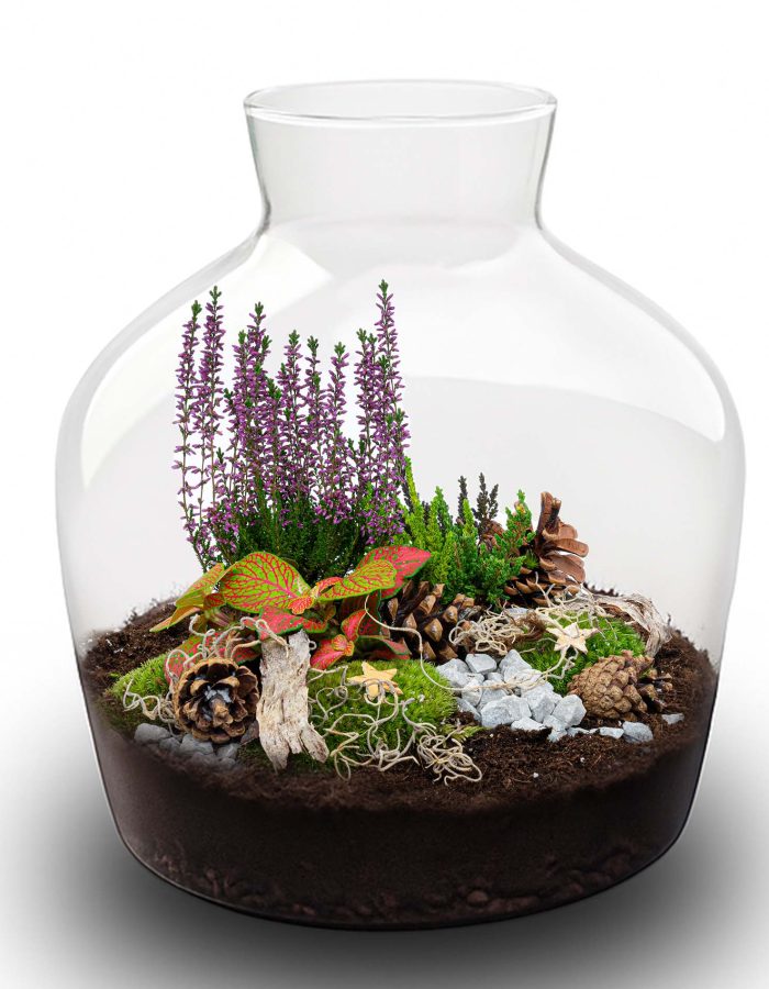 Mistle Winter & Christmas Terrarium – Bottle Garden Diy Kit – Ø 29 Cm ↑ 30