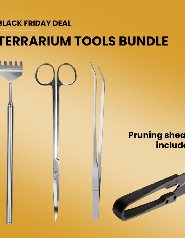 Terrarium Tools Bundle – Black Friday Deal