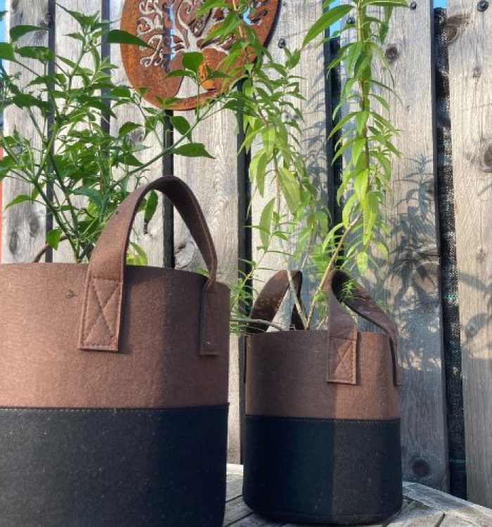 Pots en géotextile : la révolution verte pour vos plantes