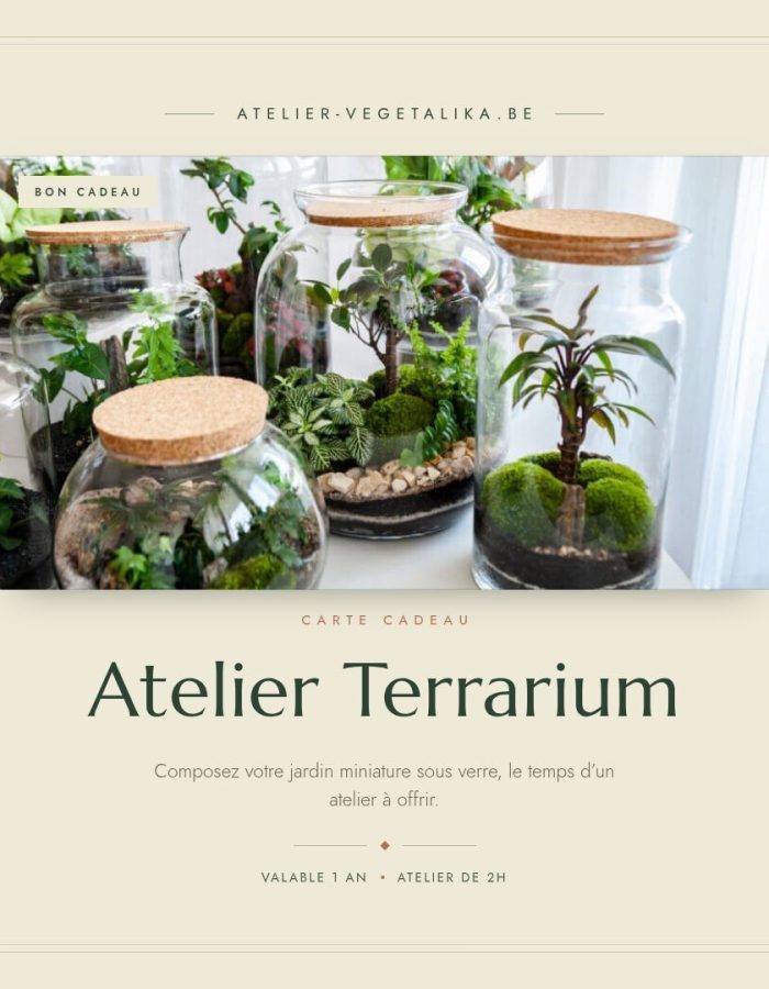 Carte Cadeau Atelier Terrarium - 1