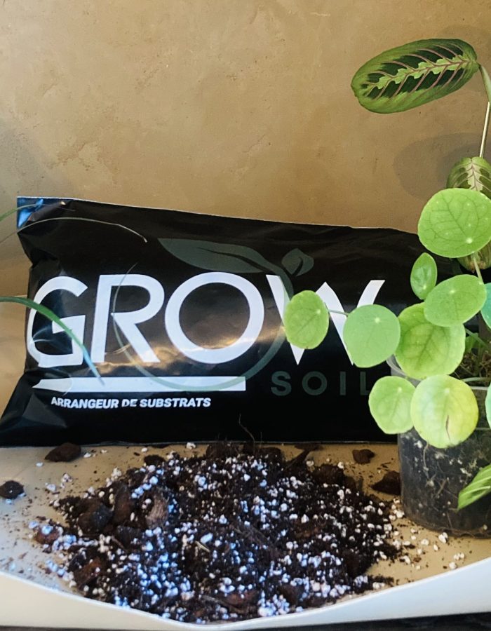 Terreau de bouturage 4L