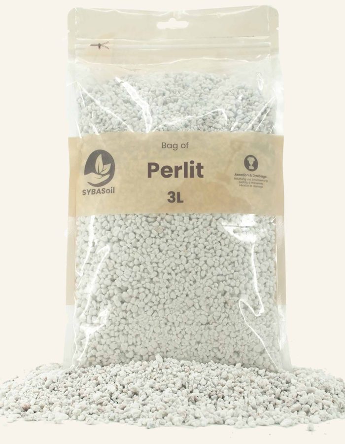 Perlite pour terreau Monstera