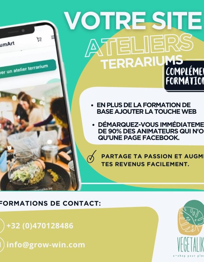 Option site web pour pack formation