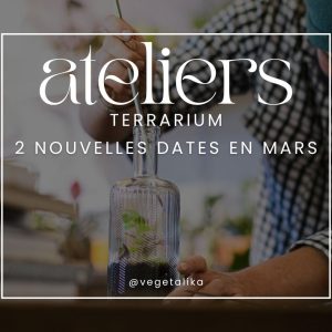 Nos ateliers terrarium plantes Namur, pour débutant, cadeau original Namur