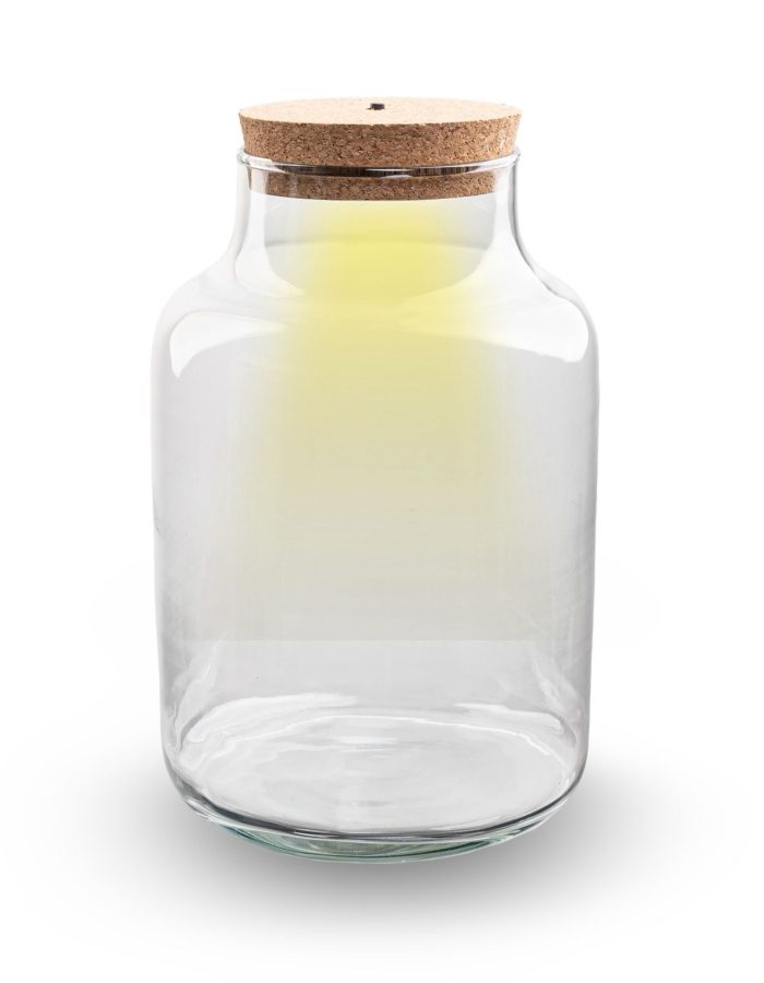 Terrarium Bottle ‘Milky’ With Led-Lighting – Closed Terrarium Ø 21 Cm ↑ 30 Cm