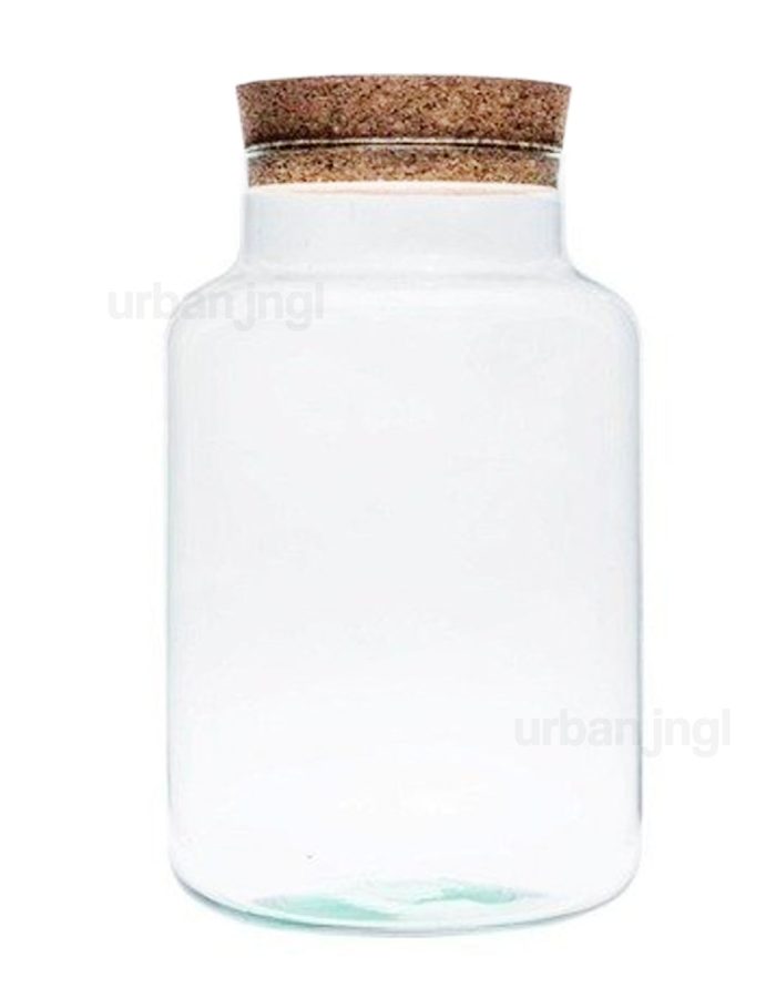 Terrarium With Cork – Milky – Closed Terrarium ↑30 Cm