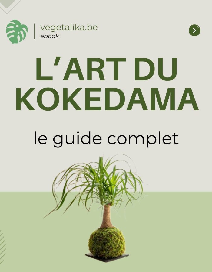 Green Natural Project Report  