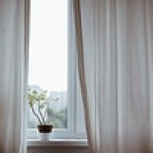 curtains, decoration, indoors, plant, nature, potted plant, window, minimalist, minimalistic, interior decoration, indoor plant