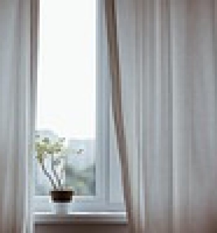 curtains, decoration, indoors, plant, nature, potted plant, window, minimalist, minimalistic, interior decoration, indoor plant