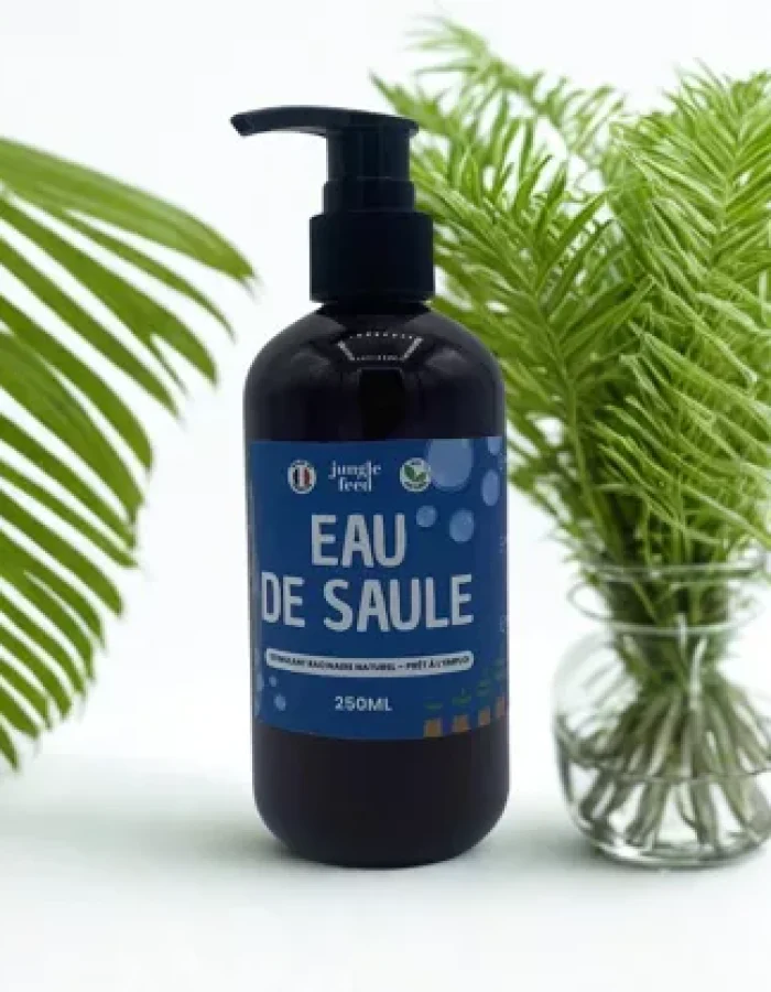 Eau de saule hormone bouturage naturelle écologique enracinement boutures semis acide salicylique artisanal préparation écorces