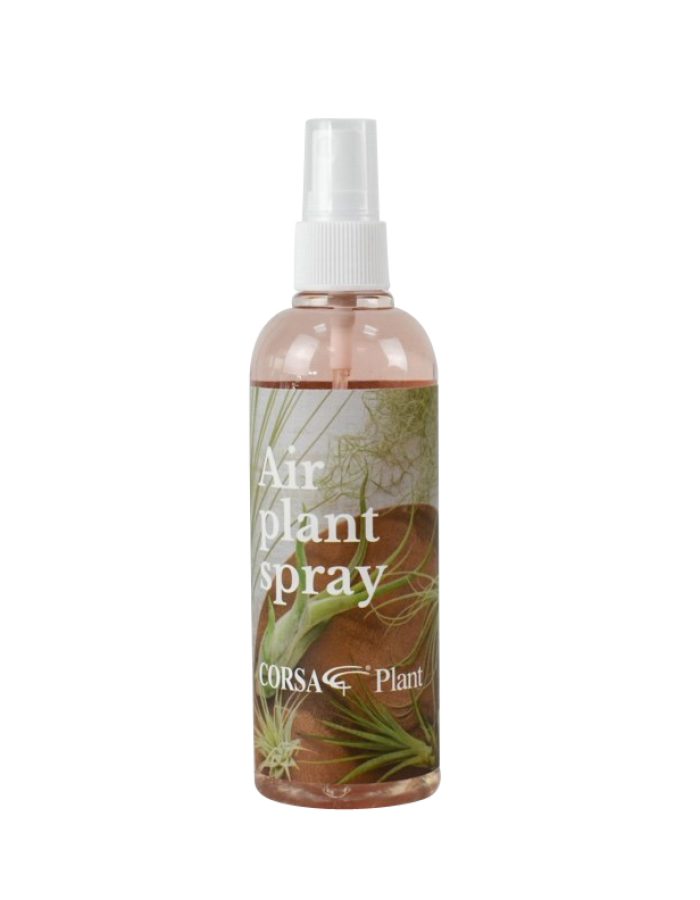 Spray Tillandsia Soin Nutrition 150ml