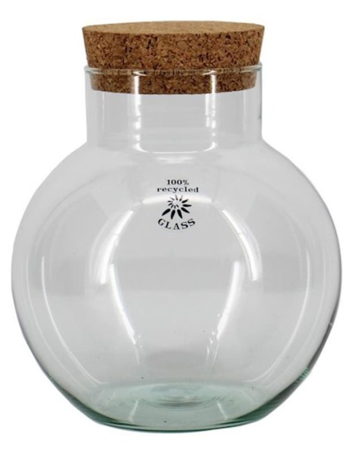 Bocal globe pour terrarium 20cm