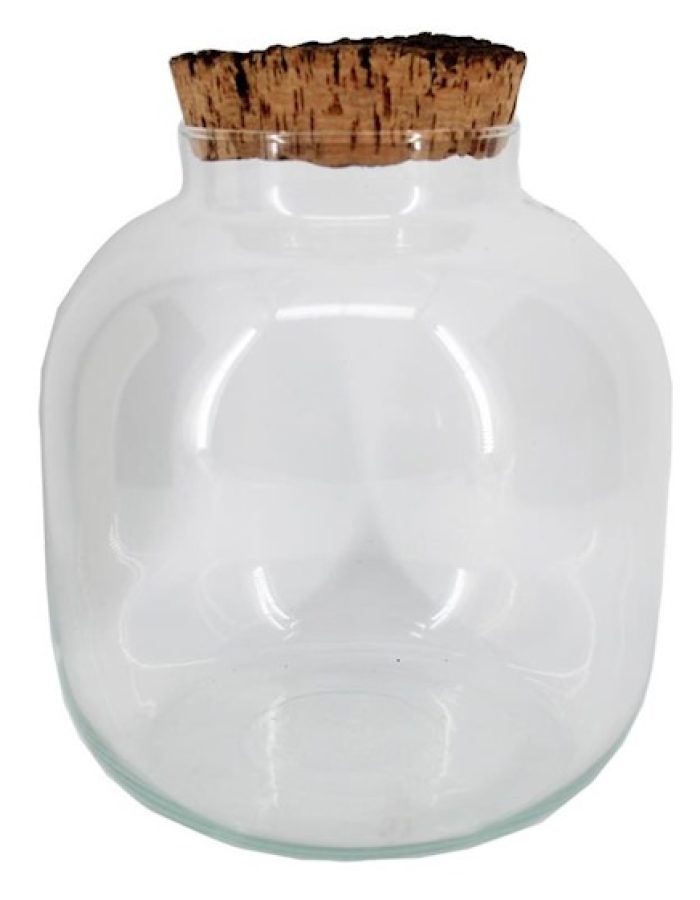 Globe pour terrarium 20cm