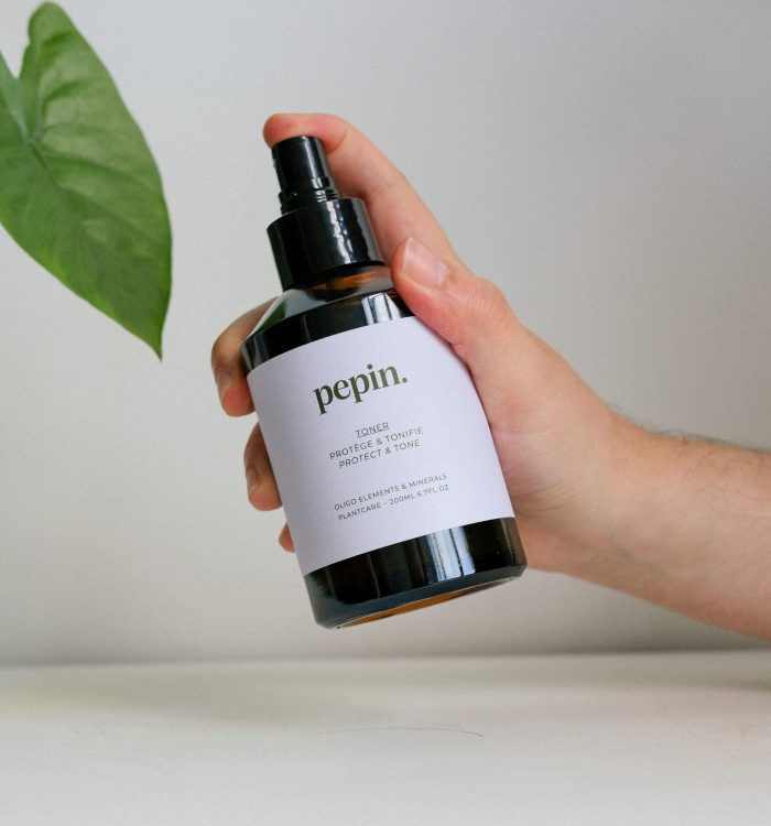 L’Art du Brumisage : Prendre Soin de Vos Plantes par le Feuillage