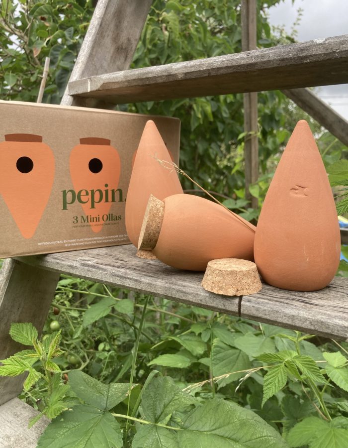 Promo Ollas Pepin 15cl par 3