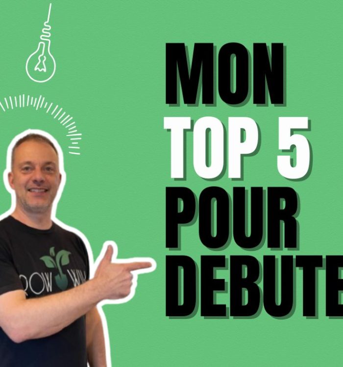 Les 5 Indispensables pour Bien Débuter en Jardinage d’Intérieur