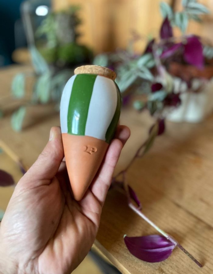 Ollas Pépin 15cl émaillé vert