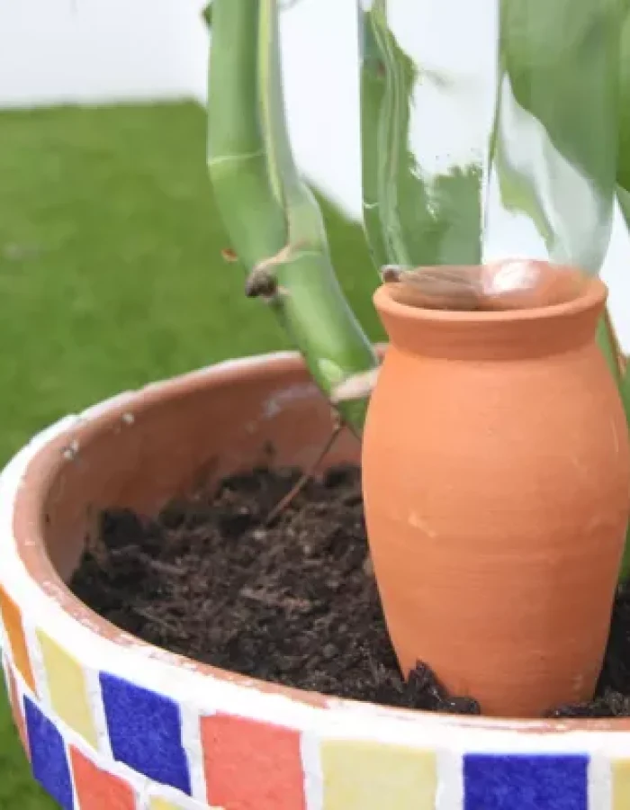 Ollas cône irrigation Poterie Lutton argile naturelle arrosage autonome plantes pot terre cuite