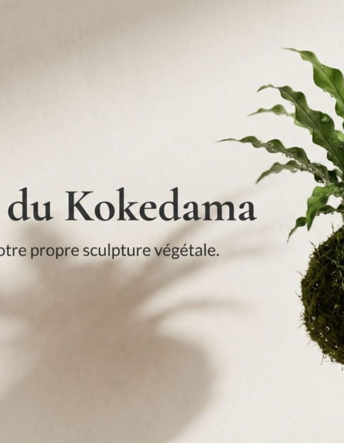 ebook base kokedama.pdf - 1