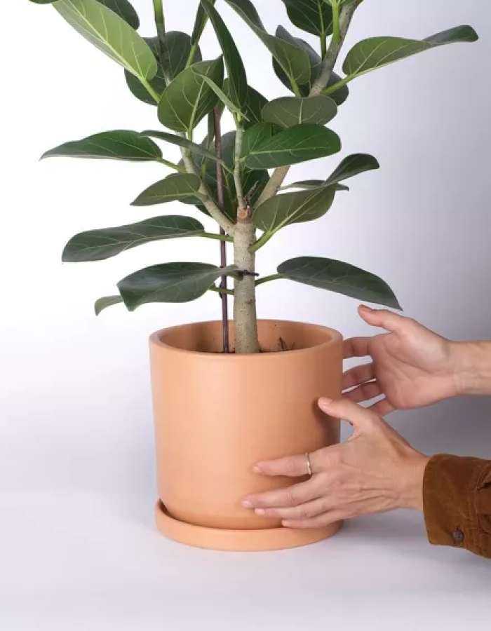 Service de Rempotage Premium