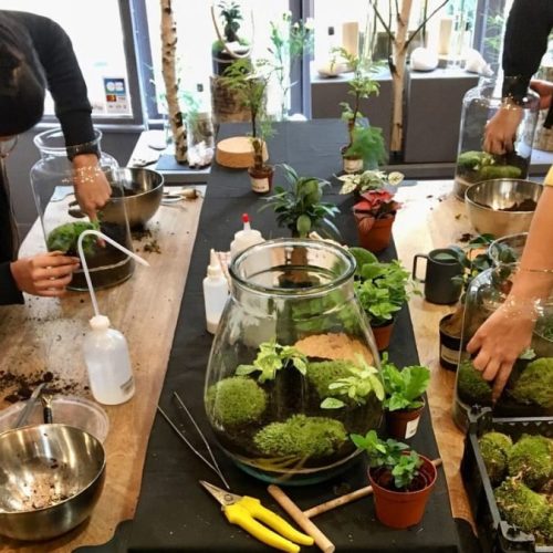 Créer un atelier terrarium pour un anniversaire original