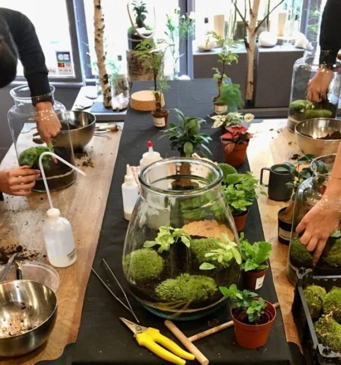 Créer un atelier terrarium pour un anniversaire original