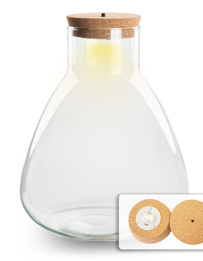 Terrarium Bottle ‘Sam’ – Incl. Led Cork – Closed Terrarium Ø 24.5 Cm ↑ 30 Cm