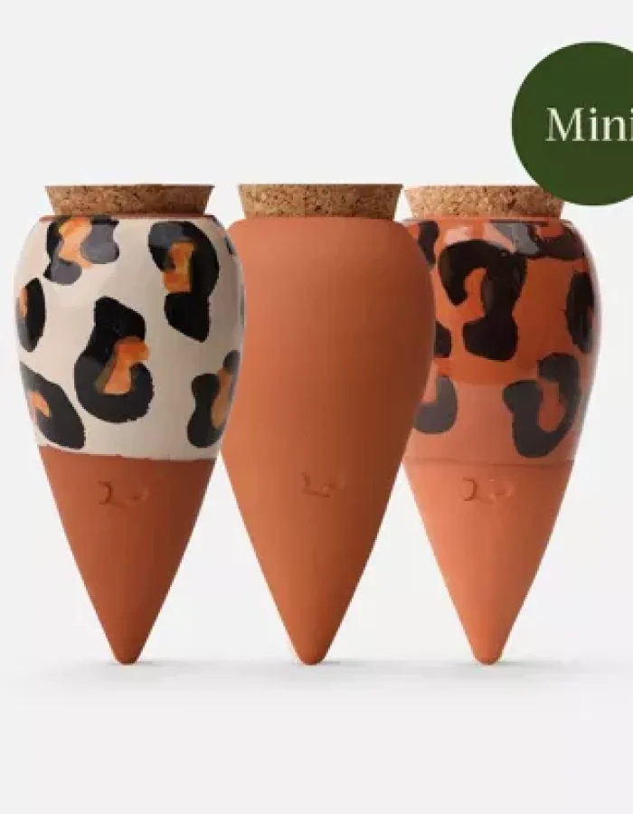 Coffret Trio mini ollas – les Léopards